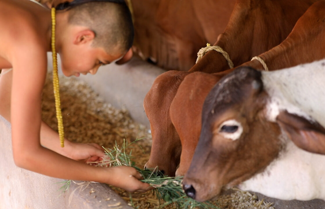 1F5A2230.MOV.10_16_10_26.Still002