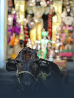 Vishwaroopa Darshanamam