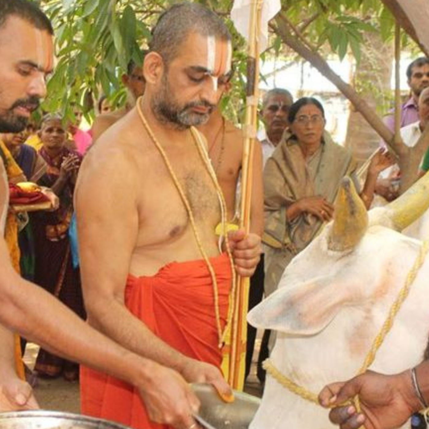 Gopalakas from Diverse Regions