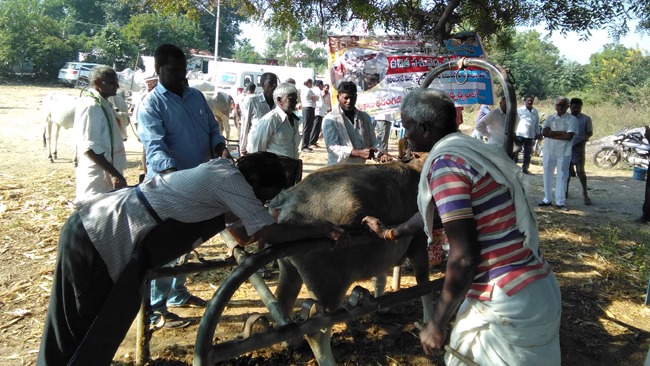 'Go’ Seva the right way