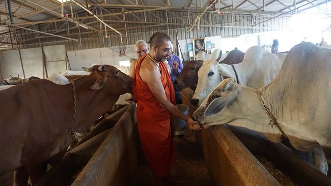 HH Swamiji JIVA Gosala 2015