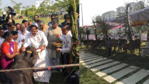 JIVA Cows showcased at Swarna Bharathi Sankranti celebrations