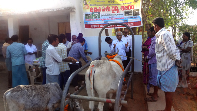 Veterinary Camp Conducted by Vikasa Tarangini Karimnagar On 21st Jan 2016