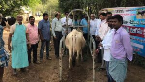 Veterinary Camp conducted at Dhurshed Karimnagar