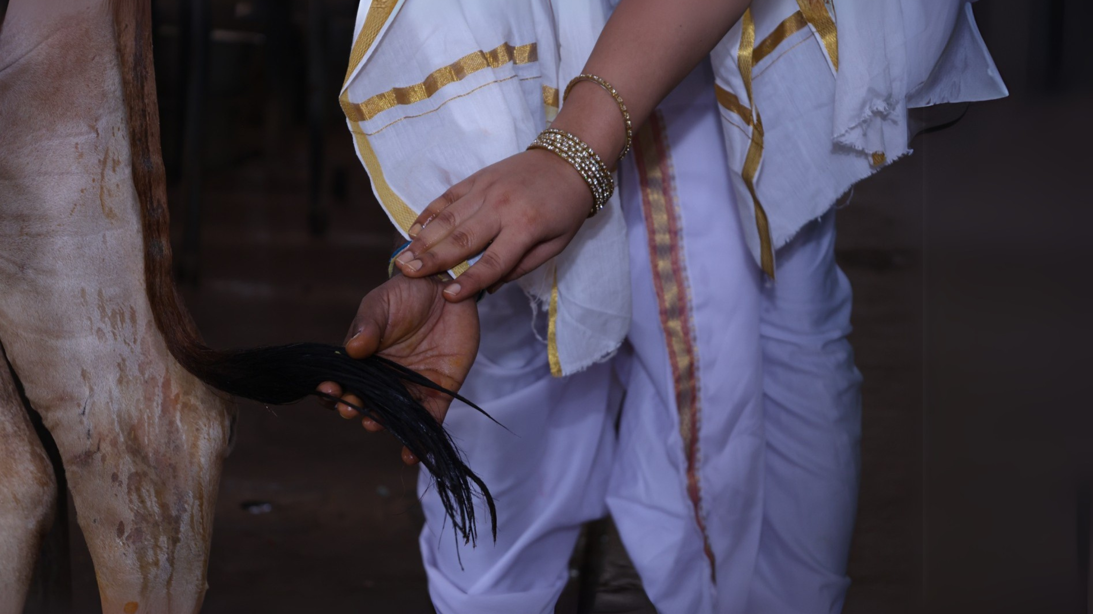 godanam
